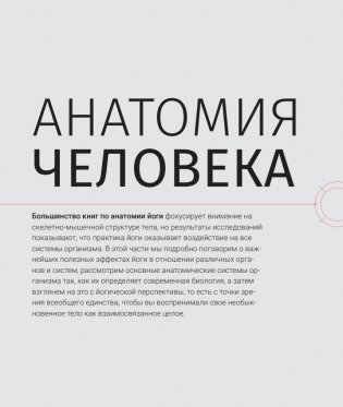 Анатомия и физиология йоги: совершенствование практики ключевых асан фото книги 7