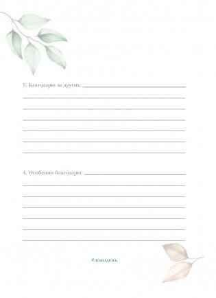 Лови день. Дневник благодарности фото книги 2