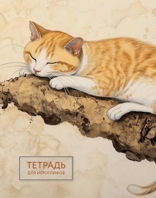 Тетрадь для иероглифов (рыжий котик) фото книги