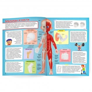 Атлас с наклейками. Тело человека фото книги 2