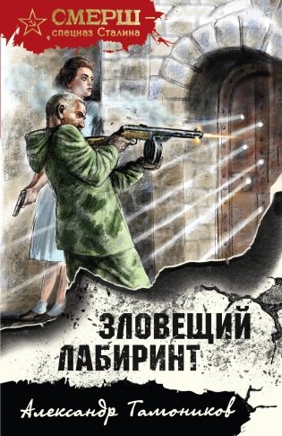 Зловещий лабиринт фото книги