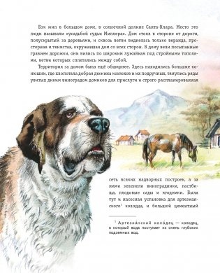 Зов предков (ил. В. Канивца) фото книги 4