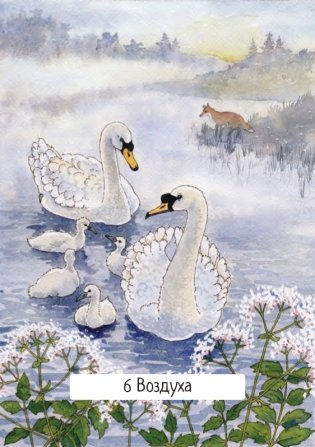 Таро ведьм (78 карт, инструкция) фото книги 29