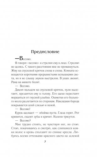 Симфония кукол фото книги 2