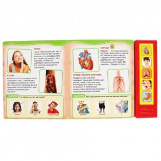 Тело человека фото книги 2