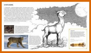 Фантастические твари. Природа чудес волшебного мира фото книги 3
