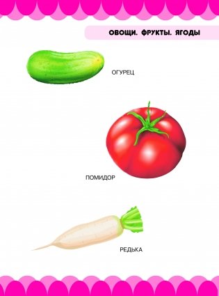 Мир природы. Овощи, фрукты, ягоды, цветы, деревья фото книги 3