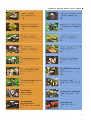 Большая энциклопедия. Грибы. Съедобные и несъедобные. Собираем и готовим. фото книги 6