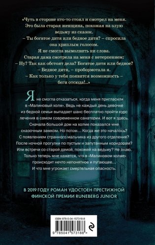 Малиновый холм, или Дом страха фото книги 31