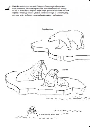 Зимняя книжка. Снежные приключения с Тимкой и Тинкой фото книги 7