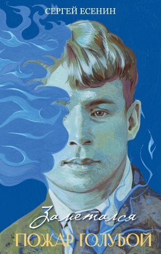 Заметался пожар голубой фото книги