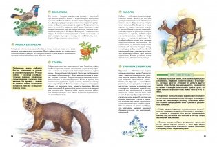 Природа России. Иллюстрированная энциклопедия фото книги 7