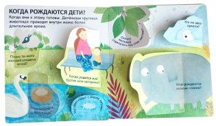 40 окошек. Откуда берутся дети фото книги 3