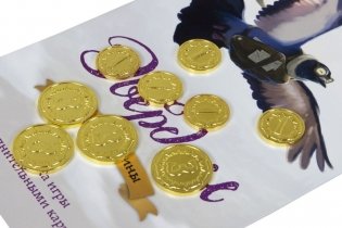 Эверделл: Золото долины. Делюкс-набор фото книги 3