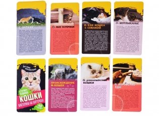 Кошки. Викторина на карточках фото книги 2