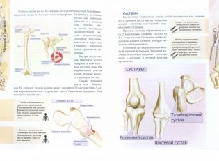 Человек и его тело фото книги 3