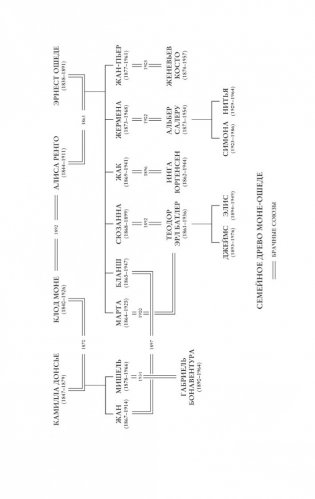 Чарующее безумие. Клод Моне и водяные лилии фото книги 5