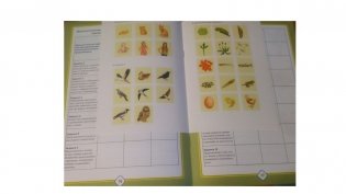 Добро пожаловать в экологию! Рабочая тетрадь для детей 6-7 лет. Подготовительная группа. Часть 2. ФГОС фото книги 3