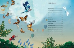 Посмотри на небо! фото книги 2