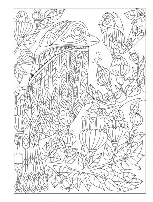Creative Haven Fanciful Birds coloring book фото книги 11