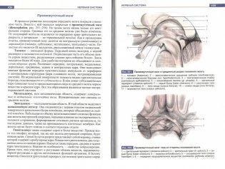 Атлас анатомии человека фото книги 3