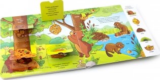 Книжка с окошками "Мои первые слова. Лес" фото книги 2