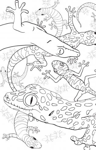 Удивительные животные. Мини-раскраска-антистресс для творчества и вдохновения фото книги 10