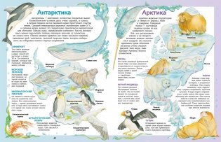 Атлас животных в картинках. Путешествие вокруг света фото книги 7