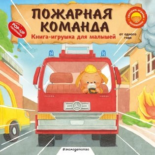 Пожарная команда фото книги