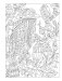Creative Haven Fanciful Birds coloring book фото книги маленькое 12