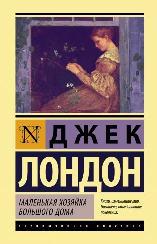 Маленькая хозяйка Большого дома фото книги