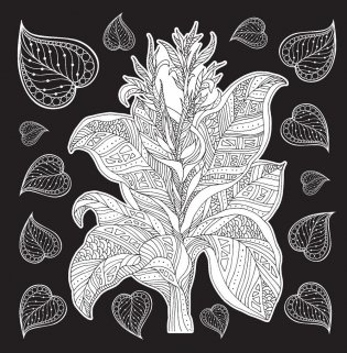 Свет и тень. Творческая раскраска с черно-белым фоном фото книги 4