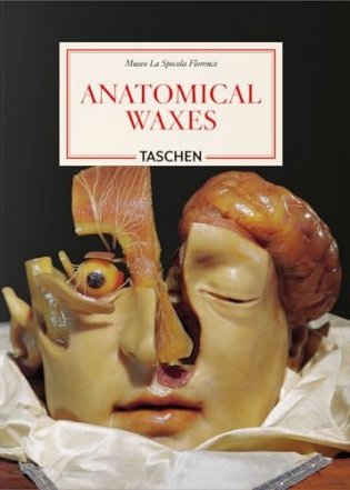 Anatomical Waxes. 45th Ed. фото книги