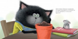 Котенок Шмяк и загадочное зернышко фото книги 4