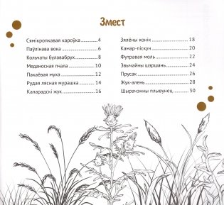 Насякомыя Беларусі фото книги 2