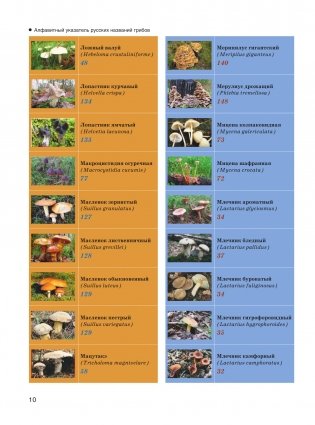 Большая энциклопедия. Грибы. Съедобные и несъедобные. Собираем и готовим. фото книги 11