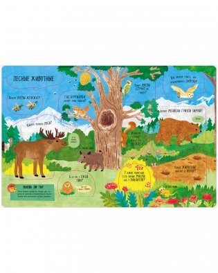 Большая книга с окошками. Животные фото книги 7
