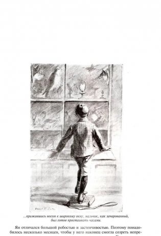 Маленькие дикари, или Повесть о том, как два мальчика вели в лесу жизнь индейцев фото книги 3