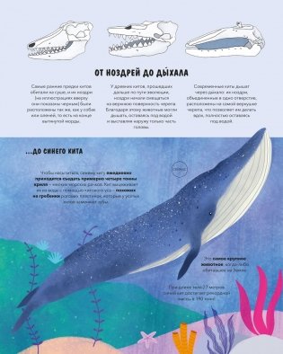 Эволюция. Как изменилась жизнь за миллиарды лет фото книги 5