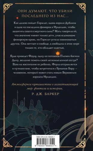 Дети Богов и Воинов фото книги 2