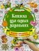 Книжка для самых маленьких. Рисунки, раскраски, придумки, головоломки фото книги маленькое 2