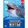 Киты. Дельфины и косатки фото книги маленькое 2