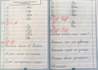 Тренажёр по исправлению почерка. Тетрадь №1. Русский язык. Для начальной школы. ФГОС фото книги 5