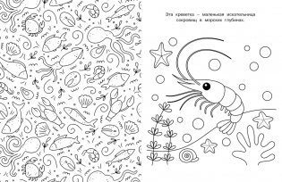 Милые очаровашки фото книги 3