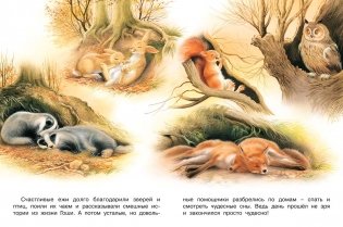 Как ежик Гоша потерялся фото книги 4