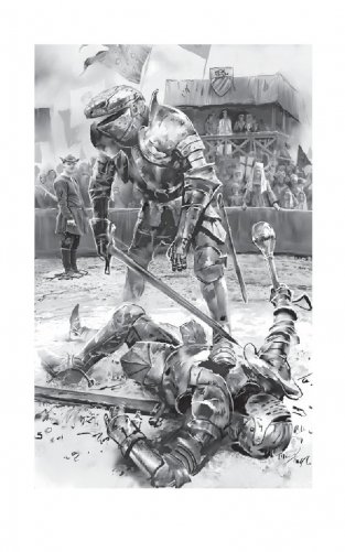 Янтарь на снегу фото книги 2