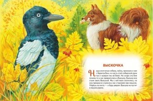 Усы, перья и хвосты. Рассказы русских писателей о животных (ил. М. Белоусовой) фото книги 7