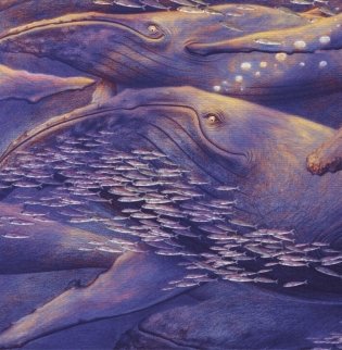 Молли и кит фото книги 2