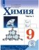 Химия. 9 класс. Учебник. В 2-х частях. Часть 1 (для слабовидящих обучающихся) фото книги маленькое 2