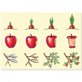 Игра «Логические цепочки» фото книги 5